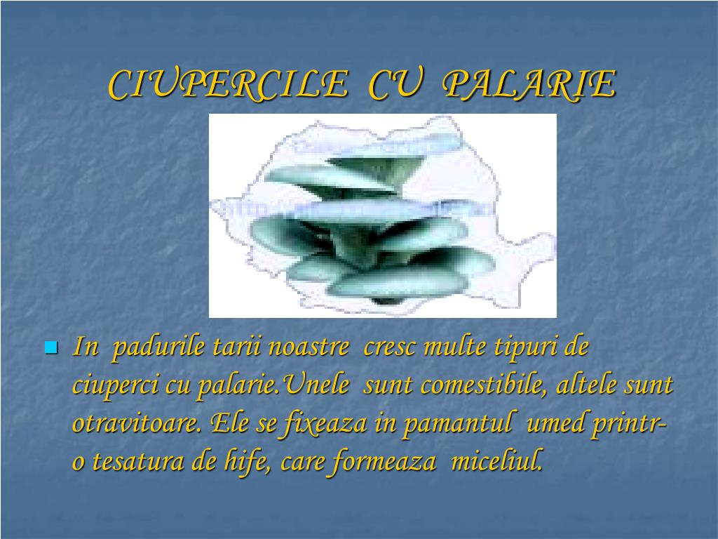 PPT - CU PALARIE PowerPoint free download - ID:3550296