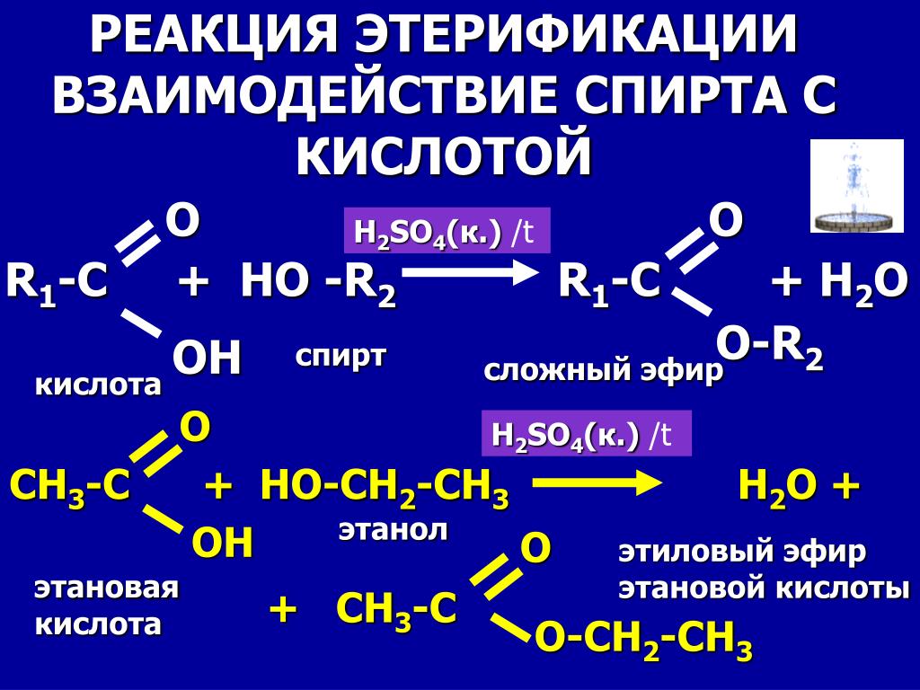 Реакция этерификации карбоновых кислот со спиртами. Этерификация спиртов. Взаимодействие спиртов с кислотами. Взаимодействие спиртов с органическими кислотами.