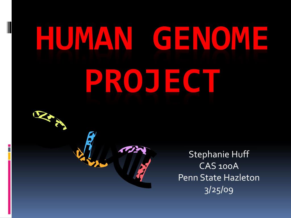 PPT - Human genome project PowerPoint Presentation, free download - ID:3551472