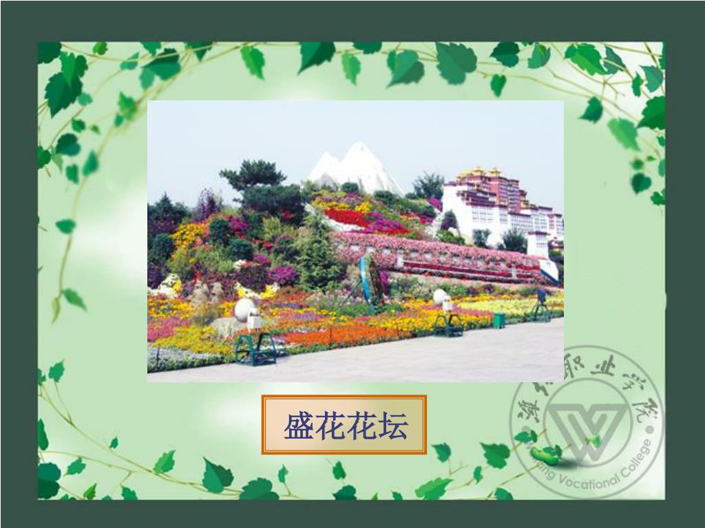 Ppt 花卉的应用powerpoint Presentation Free Download Id