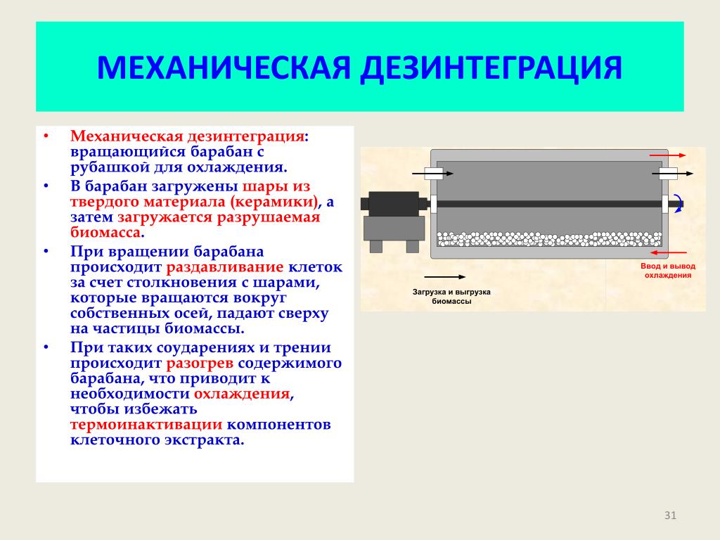 Дезинтеграция. Механические методы дезинтеграции. Дезинтеграция клеток микроорганизмов. Методы дезинтеграции клеток. Дезинтеграция тканей.