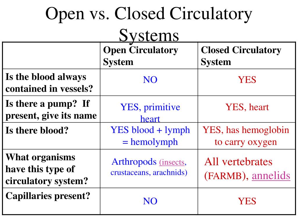 PPT Transport Circulation Immunity PowerPoint Presentation Free toppr-ask-question