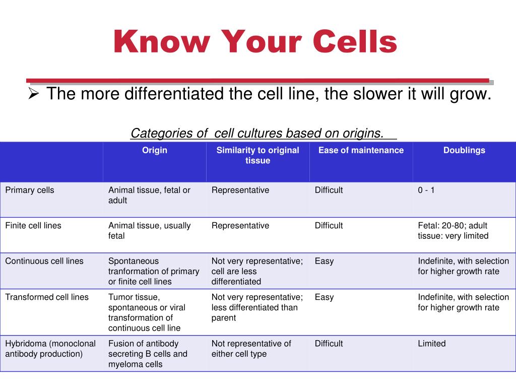 Ppt Plant And Mammalian Tissue Culture Powerpoint Presentation Free Download Id 3556152