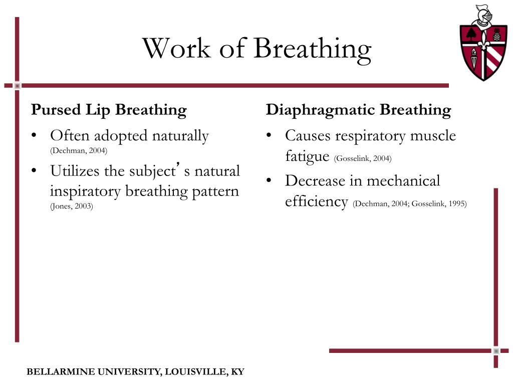Care of patient with respiratory problems | PPT