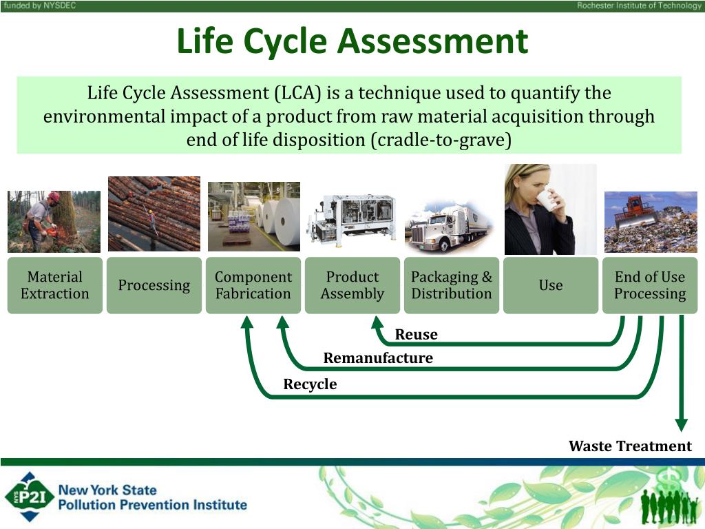 life cycle assessment essay