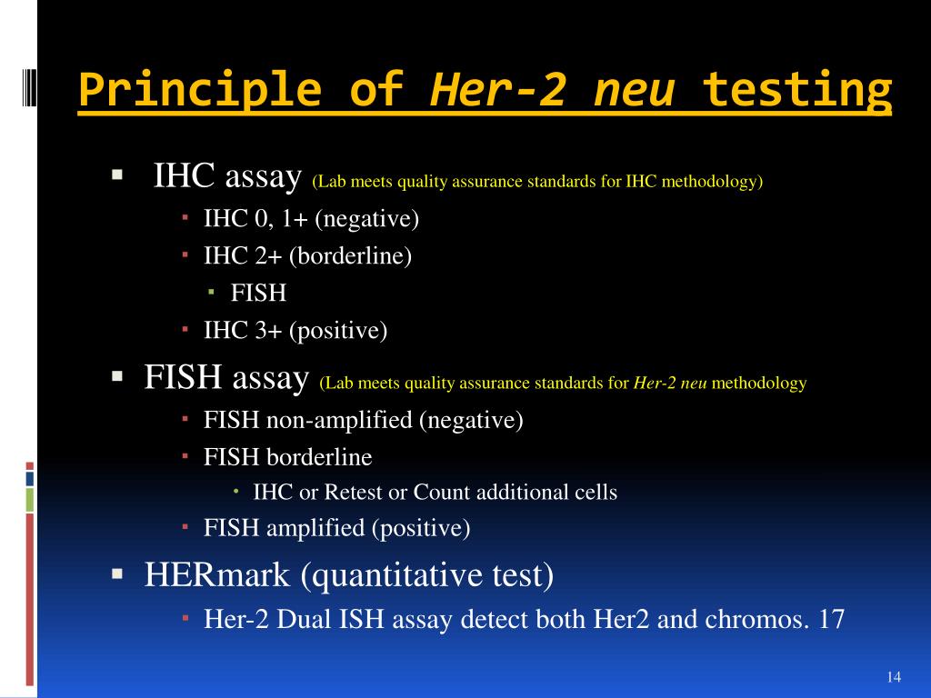 PPT - EARLY STAGE BREAST CANCER Operable local-regional inv cancer ...