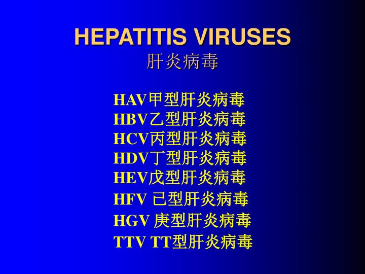 肝炎 a 型 肝炎