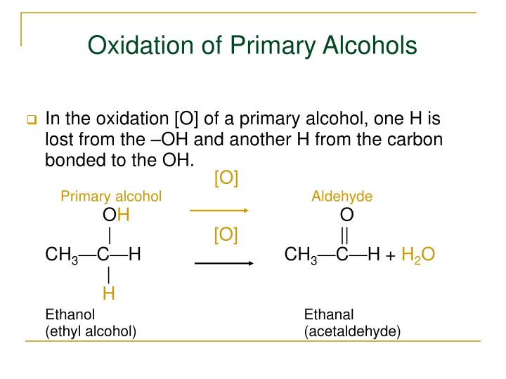 alcohol oxidation Studies show that even small amounts of alcohol have a large impact on fat metabolism dropping whole body lipid oxidation (a measure of. alcohol oxidation Studies show that even small amounts of alcohol have a large impact on fat metabolism dropping whole body lipid oxidation (a measure of.
