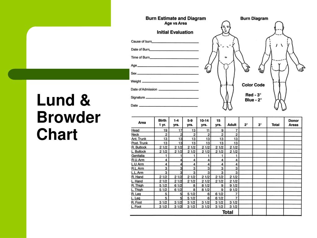 PPT Initial Care Of Burns PowerPoint Presentation Free Download ID 