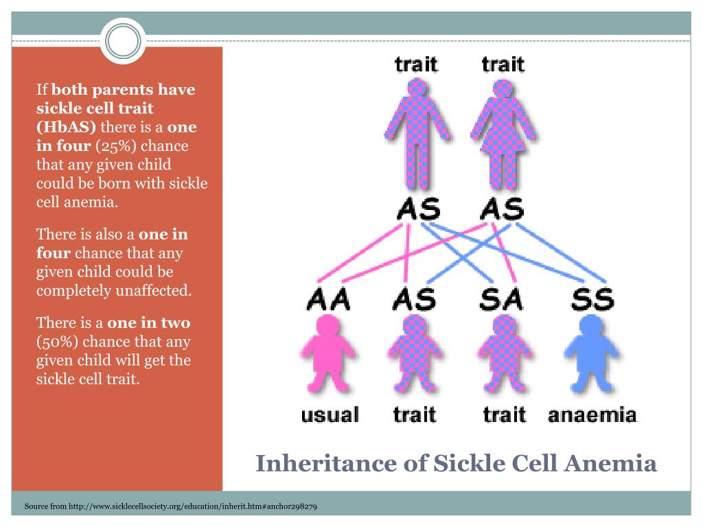 PPT SICKLE CELL ANEMIA PowerPoint Presentation, free download ID