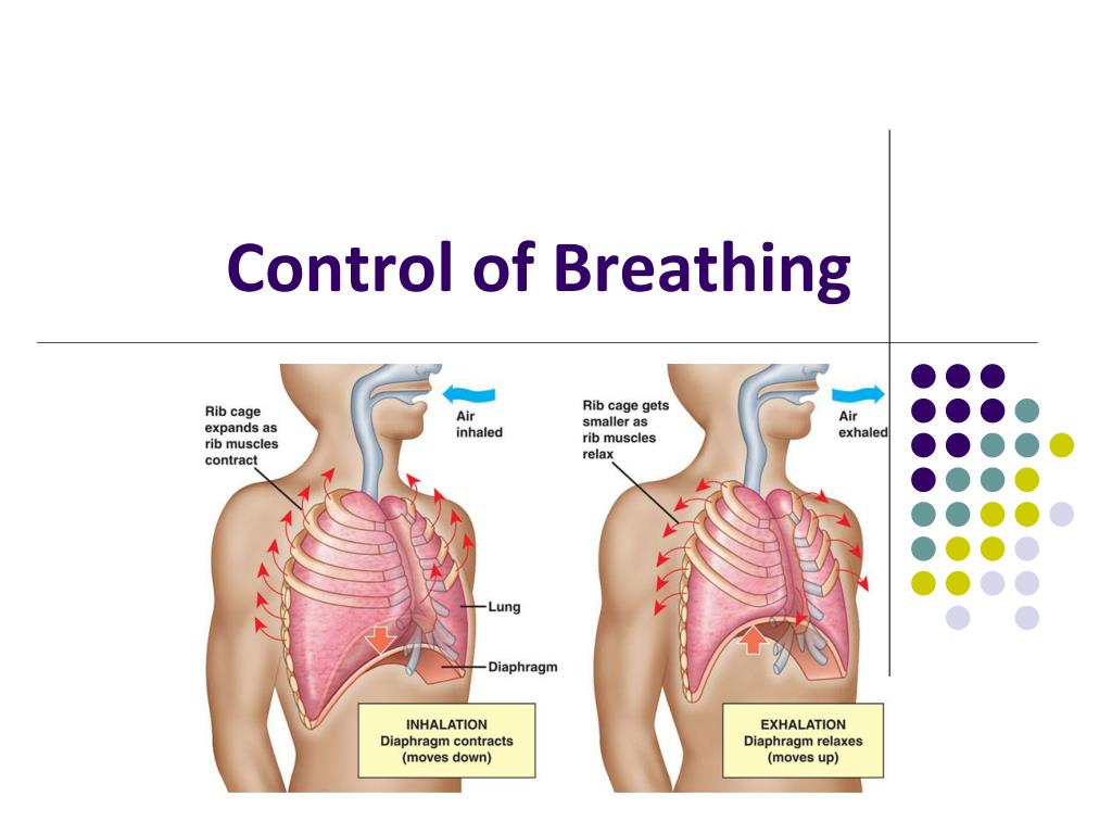 Breath control