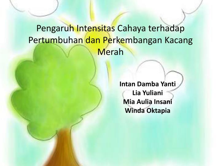 PPT Pengaruh Intensitas Cahaya terhadap Pertumbuhan dan