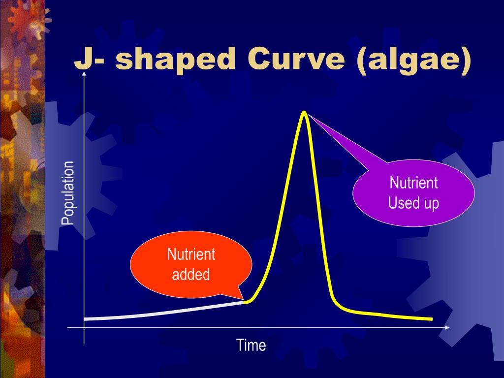 PPT - ECOLOGY PowerPoint Presentation, Free Download - ID:3562962