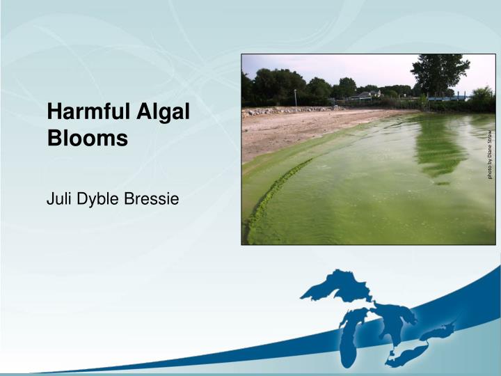 PPT - Harmful Algal Blooms PowerPoint Presentation, Free Download - ID ...