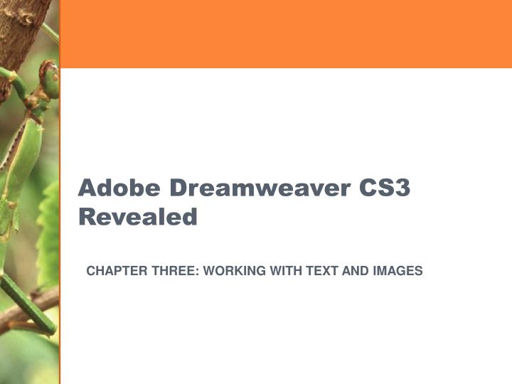 download free software dreamweaver cs3 download free software dreamweaver cs3
