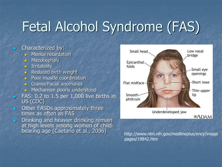 PPT - Neurotoxic Effects of Solvents PowerPoint Presentation - ID:3570609