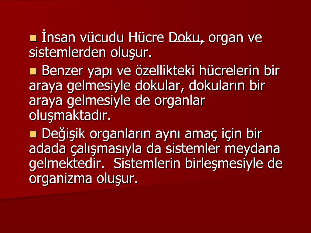Doku sıvısı ve lenf: nasıl oluşur ve nasıl farklıdır Doku sıvısı ve lenf: nasıl oluşur ve nasıl farklıdır