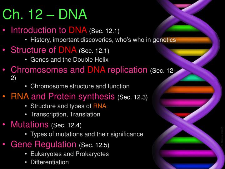 ch 12 dna powerpoint presentation