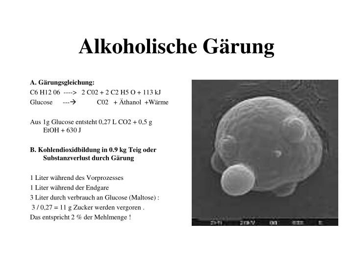 PPT - Alkoholische Gärung PowerPoint Presentation, free download - ID ...