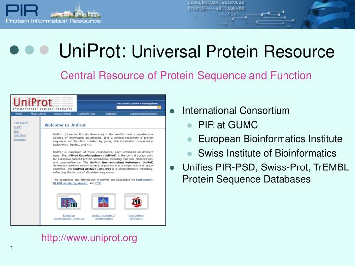 PPT UniProt Universal Protein Resource PowerPoint Presentation, free