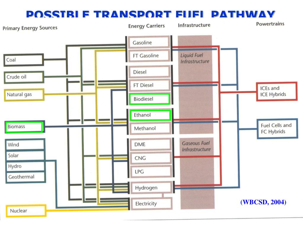 PPT - Future of Biofuel Production: Enhancing Feedstock Utilization and ...