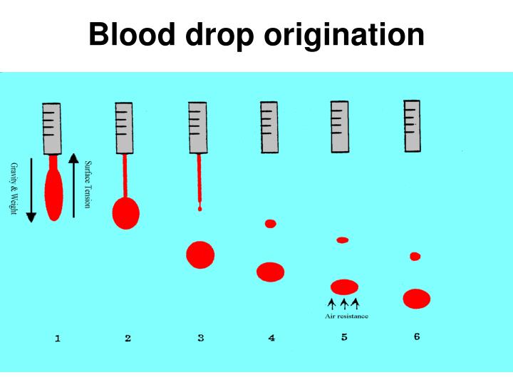 PPT - Blood Spatter Analysis PowerPoint Presentation - ID:3579746