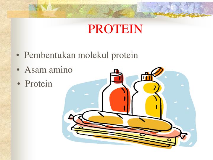 PPT - PROTEIN PowerPoint Presentation, Free Download - ID:3579846