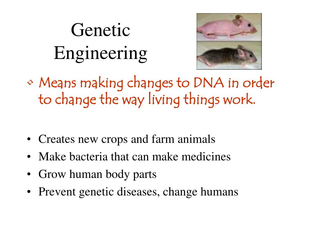 pros and cons of genetic engineering