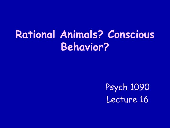 PPT Rational Animals? Conscious Behavior? PowerPoint Presentation