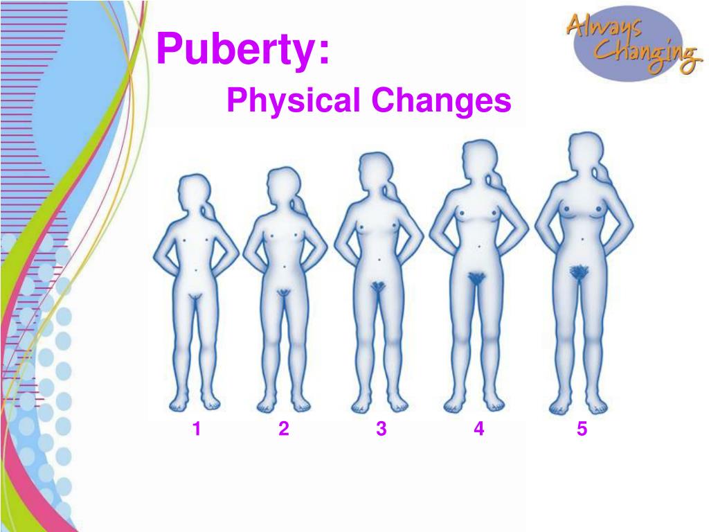 puberty physical changes.