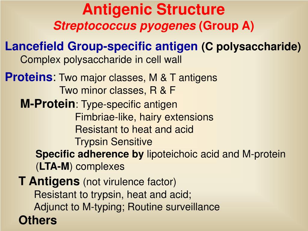 Specific group. Стрептококк строение. Streptococcus pyogenes патогенез. Streptococcus виды.