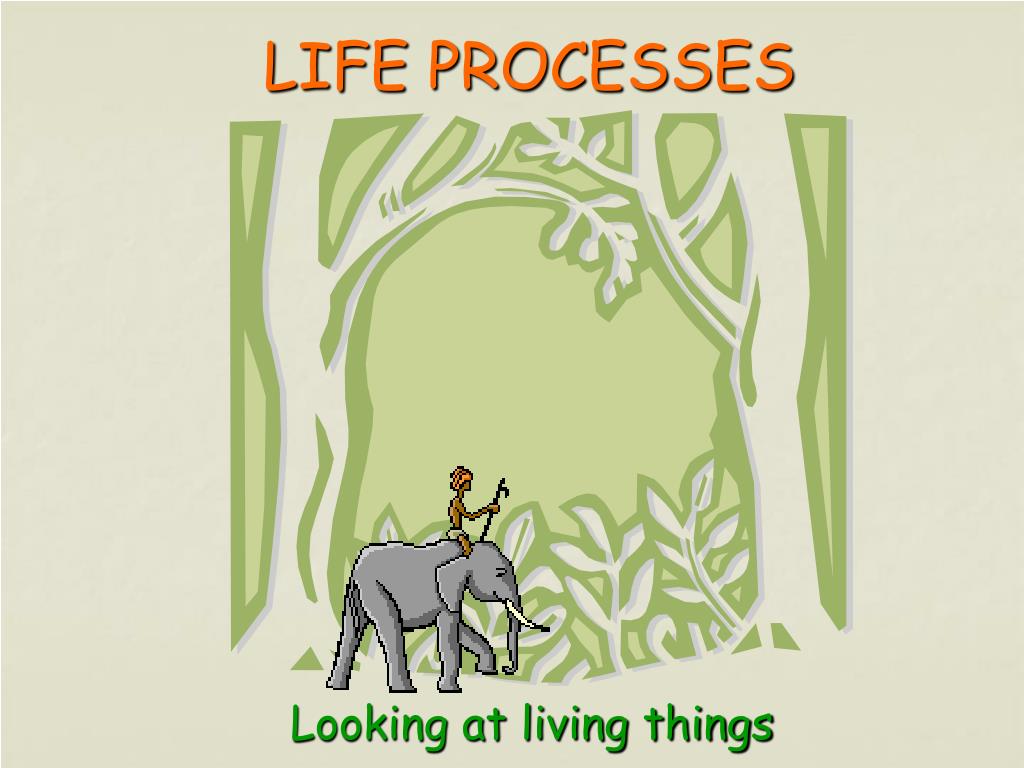Processes of Life. 7 Life processes. Living things. Life processes