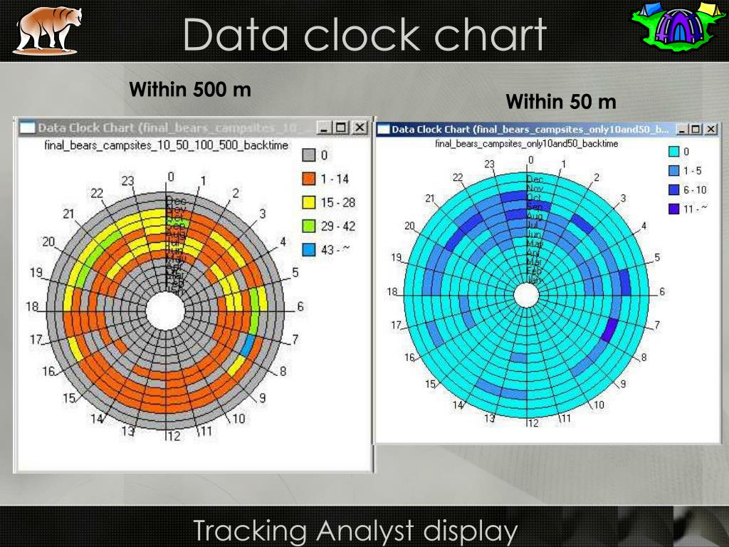 Data Clock Chart