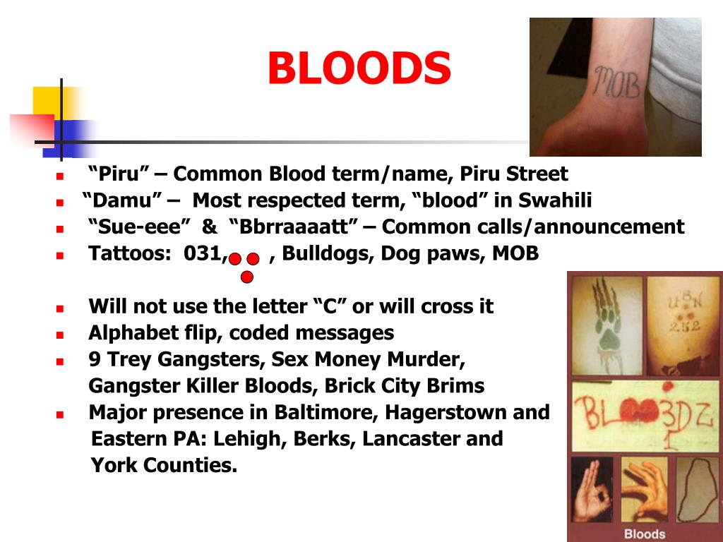 piru blood gang codes piru blood gang codes