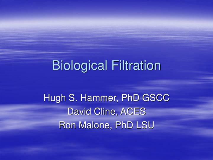 PPT Biological Filtration PowerPoint Presentation, free download ID