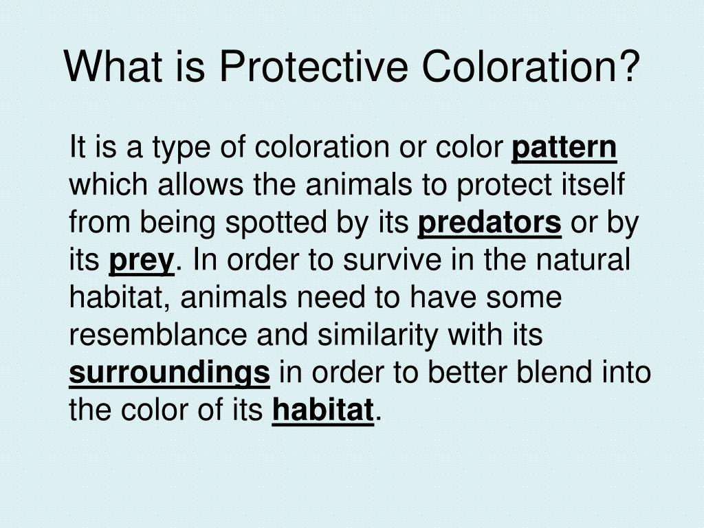 PPT - Protective Coloration PowerPoint Presentation, free download -  ID:3590001