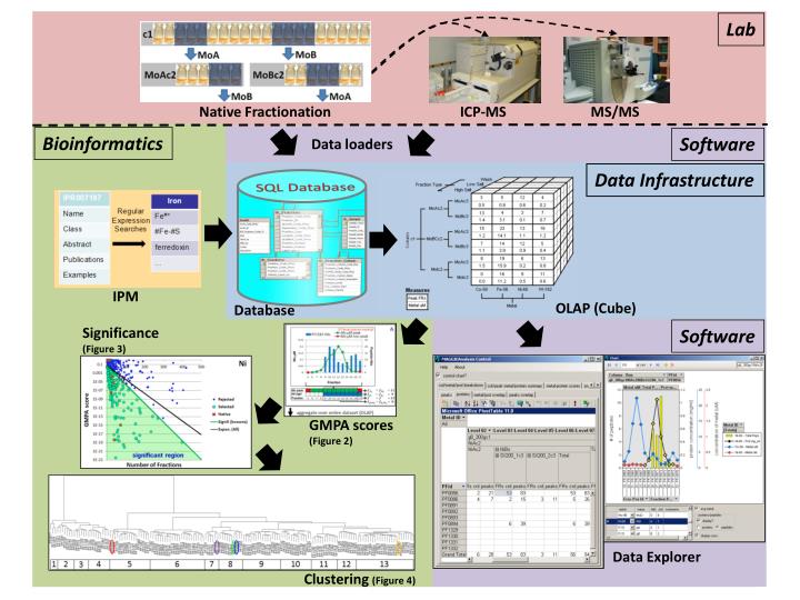 PPT - SQL Database PowerPoint Presentation, free download - ID:3590767