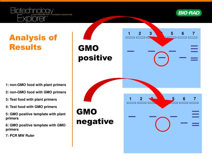 negative aspects of gmos
