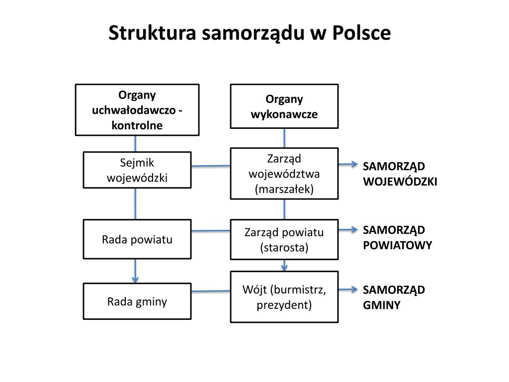 Podaj Nazwy Organów Samorządu Powiatowego PPT - WIEDZA O SPOŁECZEŃSTWIE PowerPoint Presentation, free download