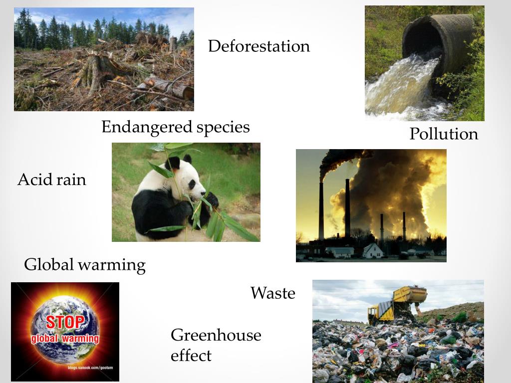Fill in avalanche tornado pollution endangered. Environmental problems презентация. Ecological problems задания. Global ecological problems. Global Environmental problems.