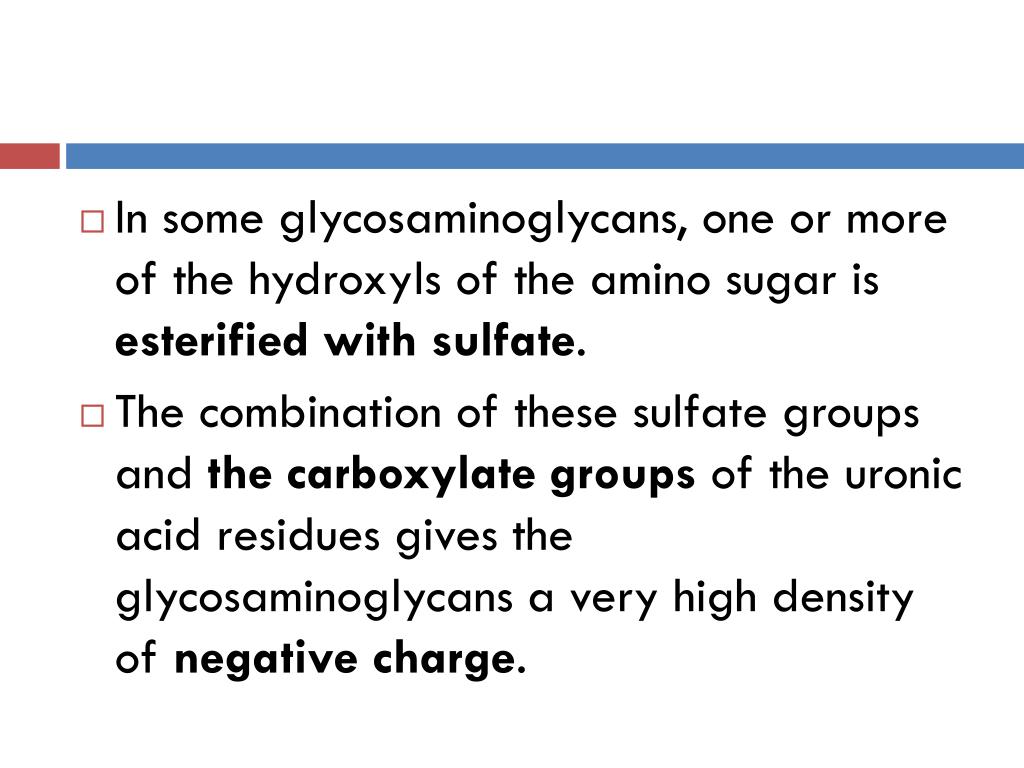 PPT Glycosaminoglycans PowerPoint Presentation, free download ID3593672