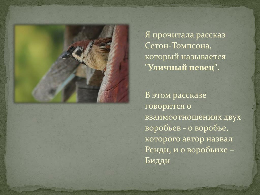 Сетон Томпсон рассказ уличный певец Главная мысль