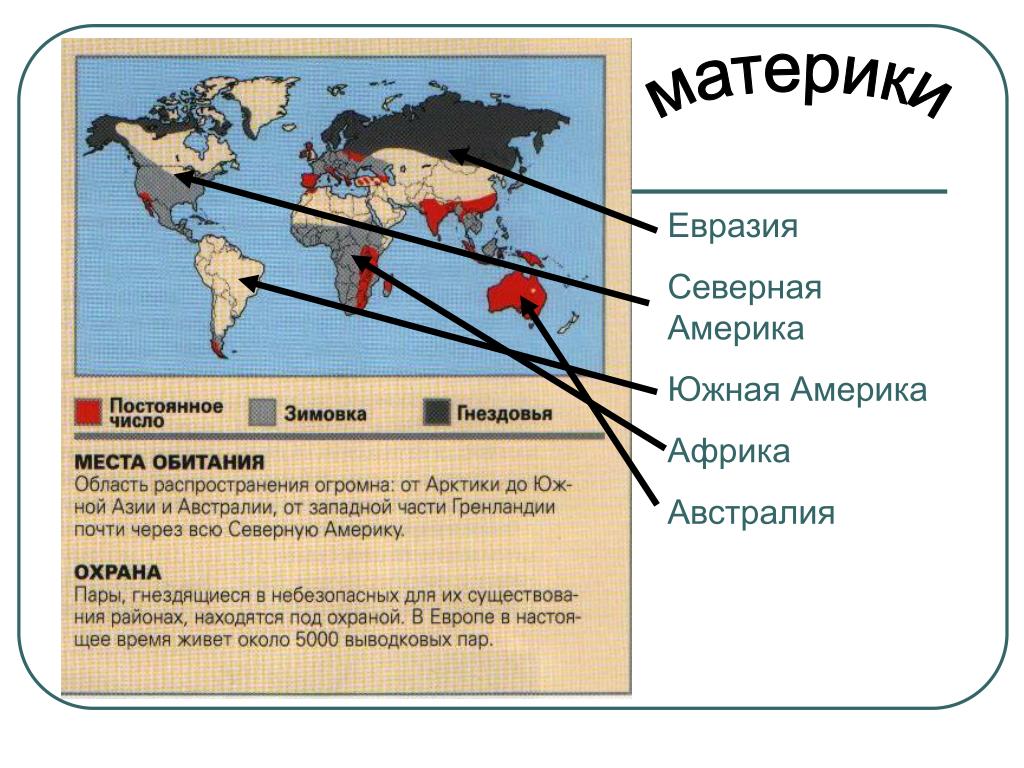 Евразия северной америки