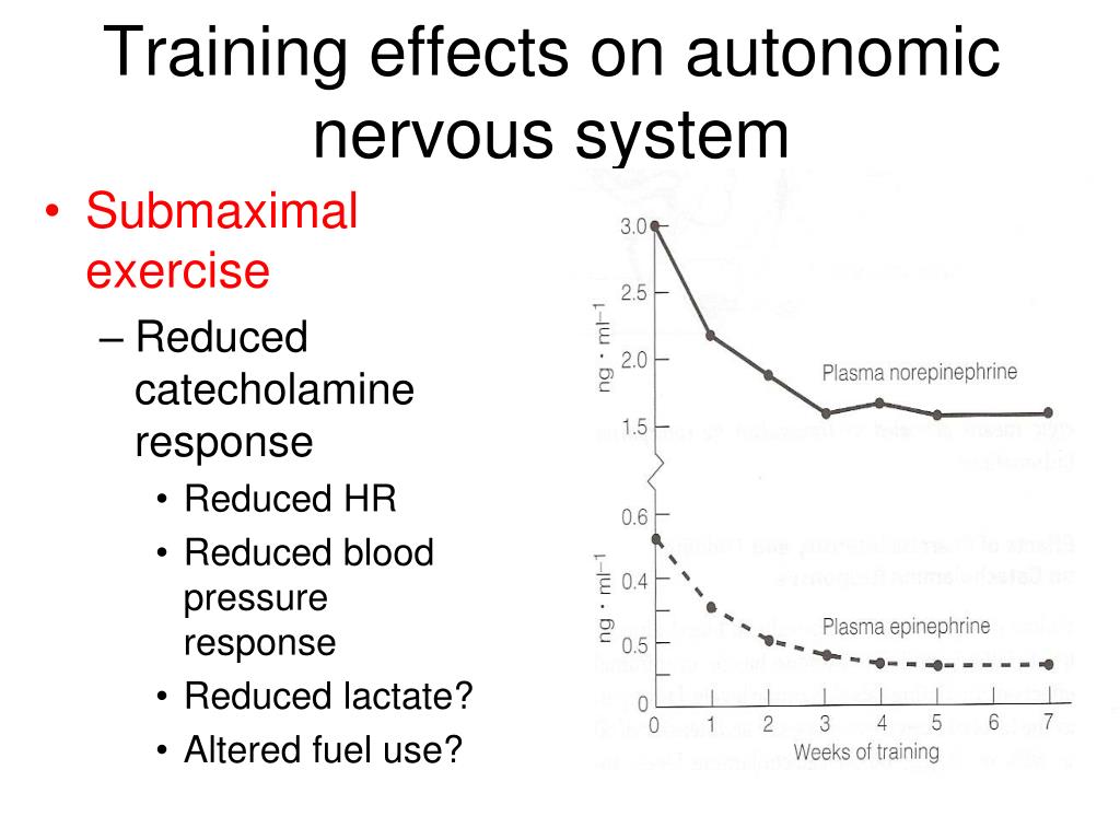 PPT - Autonomic nervous system PowerPoint Presentation, free download