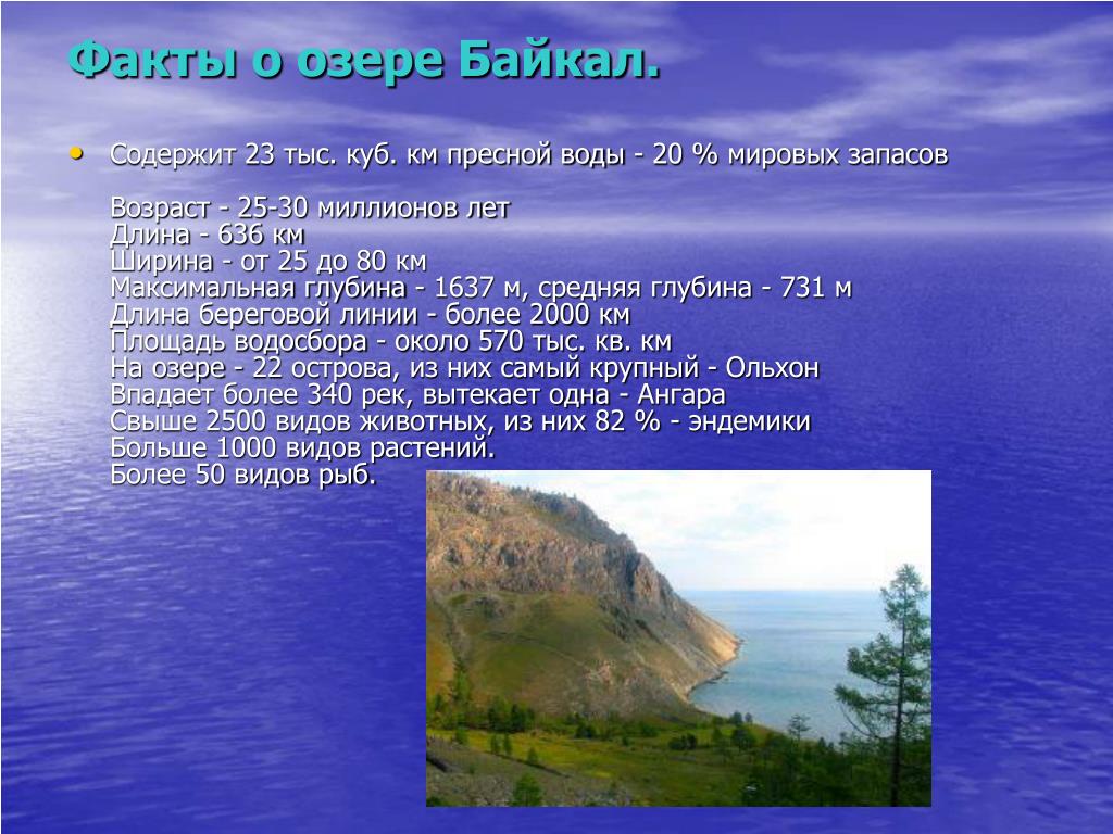 Информация про озера. Интересные факты про озеро Байкал для 3 класса. Интересное о Байкале. Факты о Байкале. Интересное о Байкале для детей.