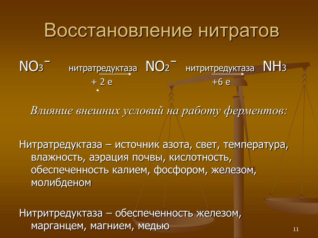 Восстановительные свойства нитритов. Восстановление нитратов. Восстановление нитратов в нитриты. Восстаговлениенитратов в нитриты. Восстановление нитратов до нитритов реакция.