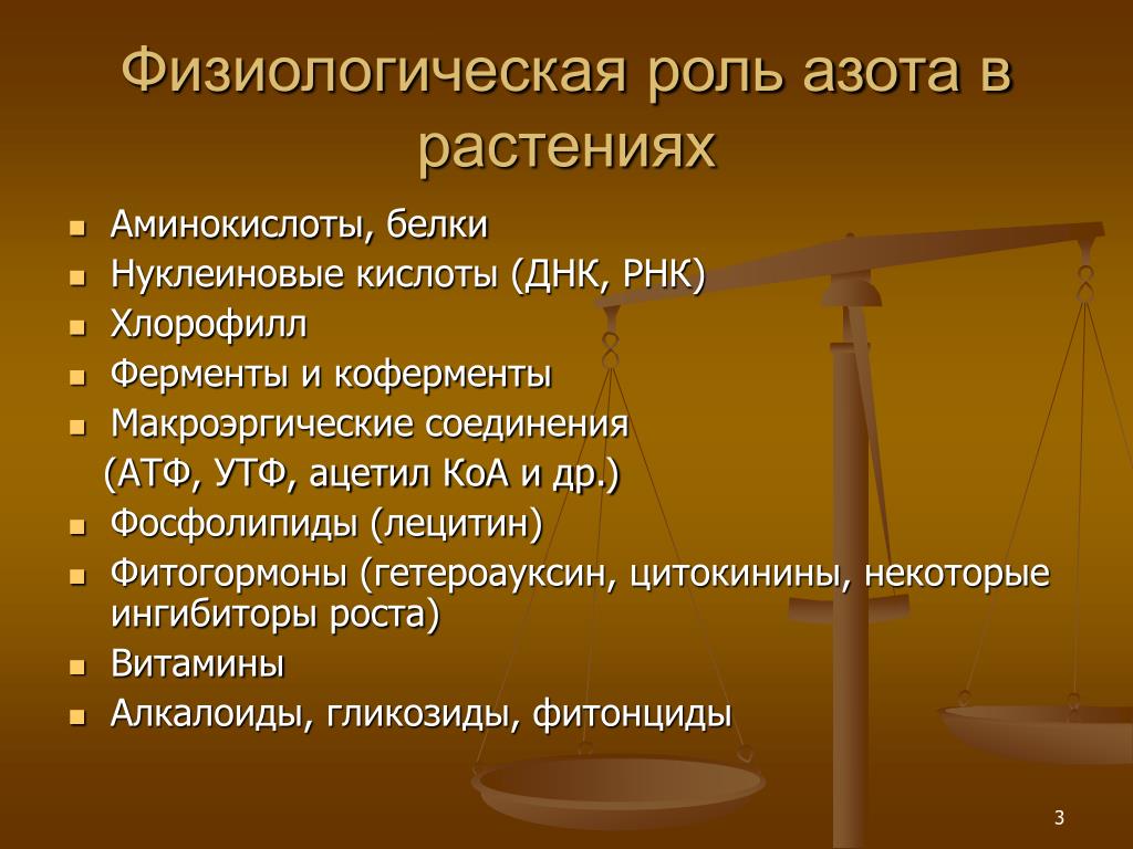 Азот в составе живых организмов. Физиологическая роль азота. Роль азота в жизни растений. Физиологическая роль азота в жизни растений. Роль азота в жизни.