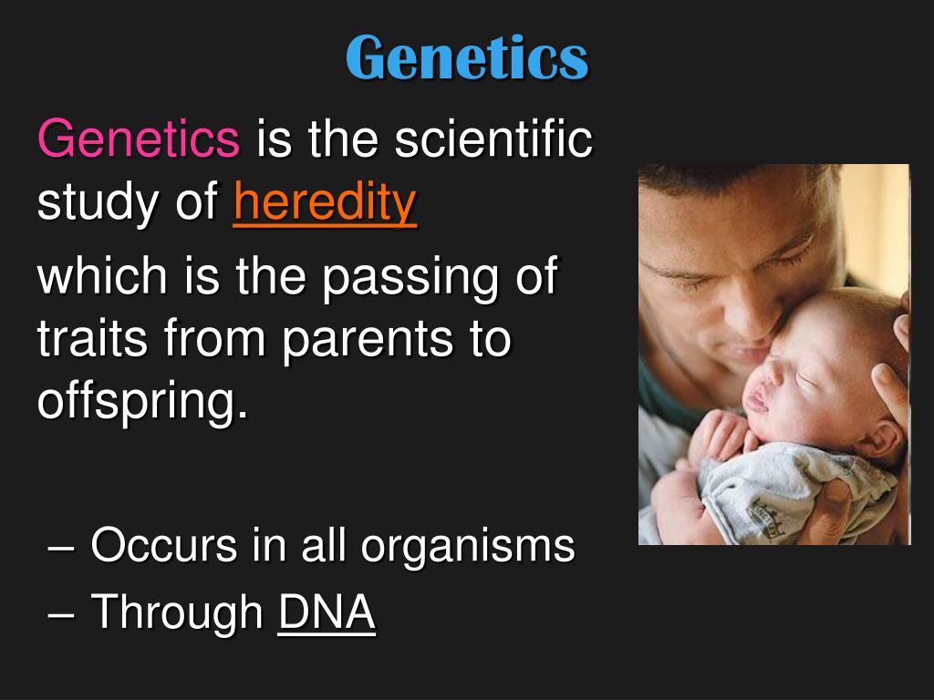 PPT - Genetics PowerPoint Presentation - ID:3596375