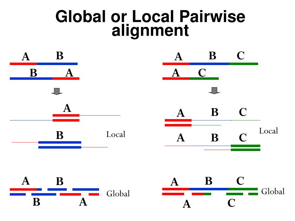PPT Introduction to bioinformatics Lecture 7 Multiple sequence
