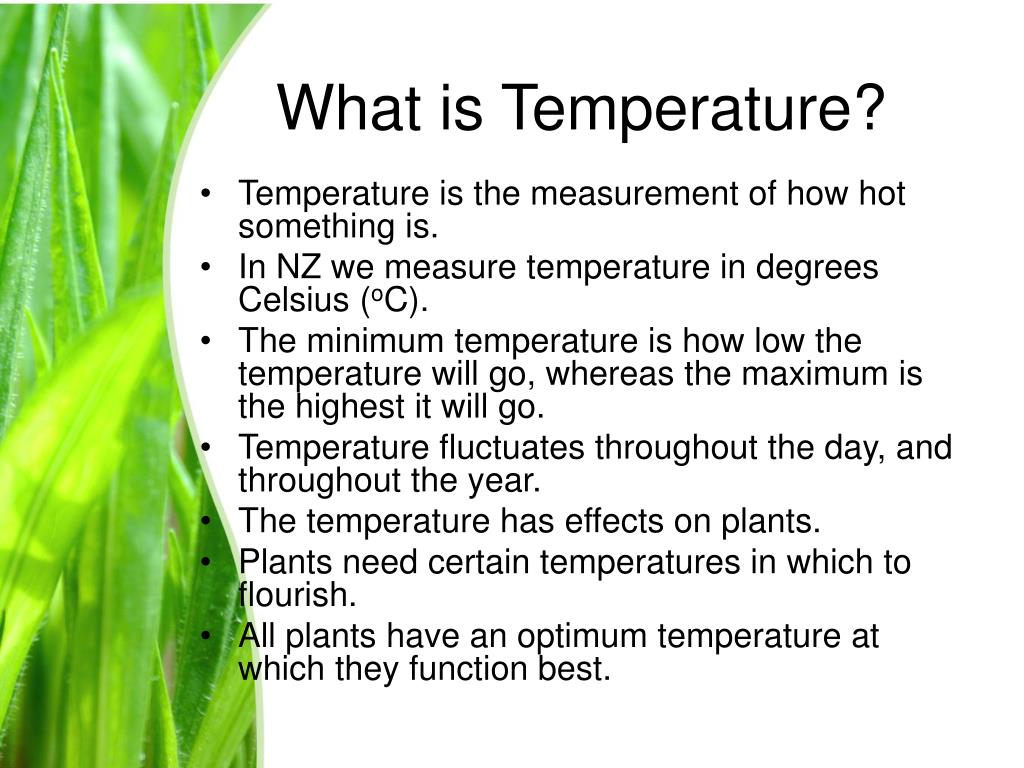 How Temperature Affects Plant Growth
